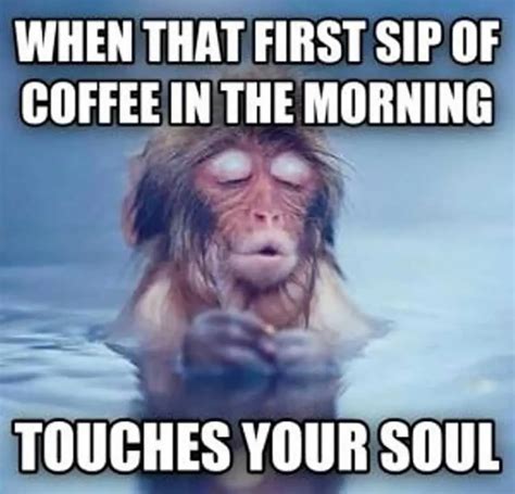 good morning dirty memes|40 Funny “Good Morning” Memes Guaranteed To。